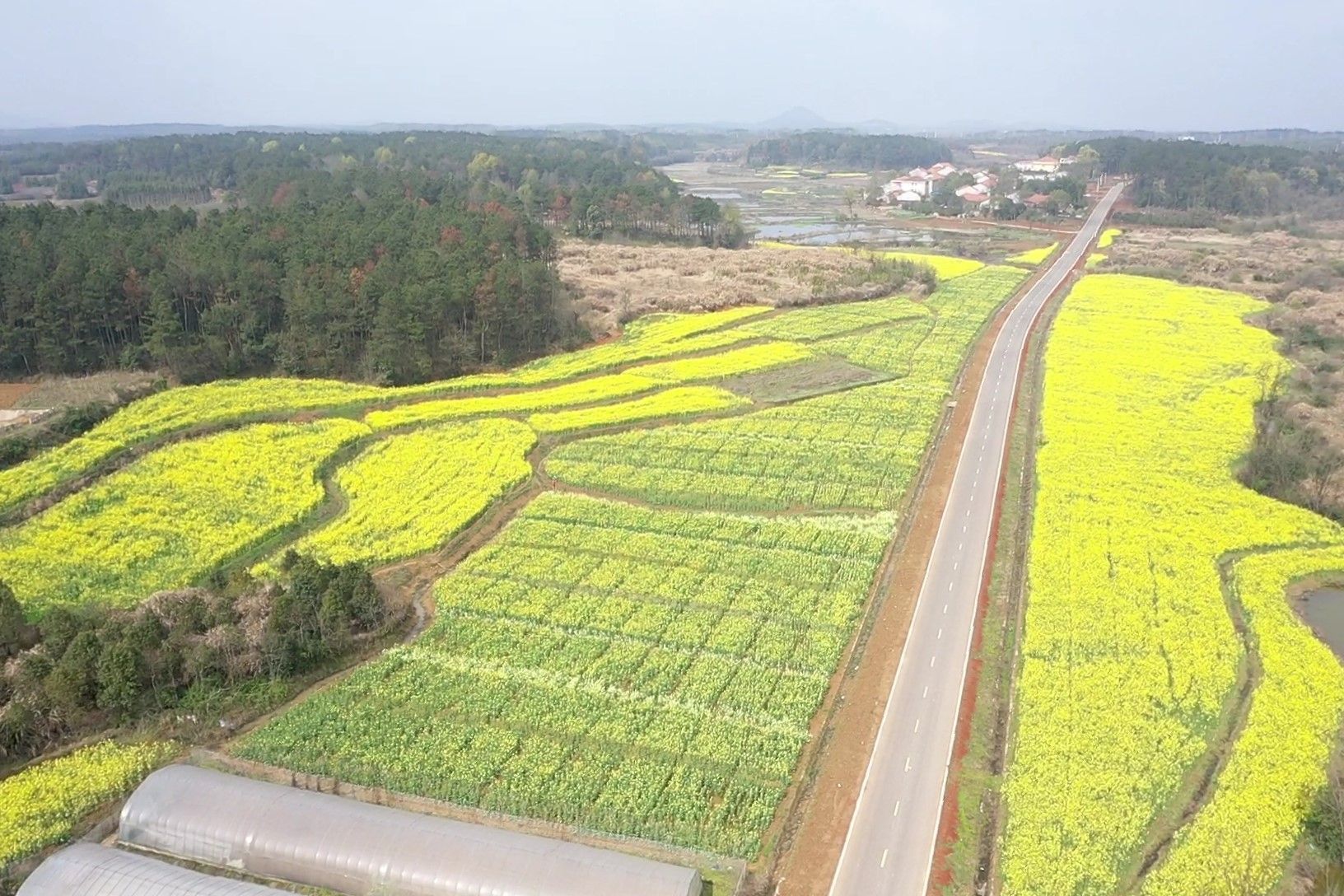 道路通畅引来产业兴旺,江夏湖泗建设"四好农村路"助力乡村振兴