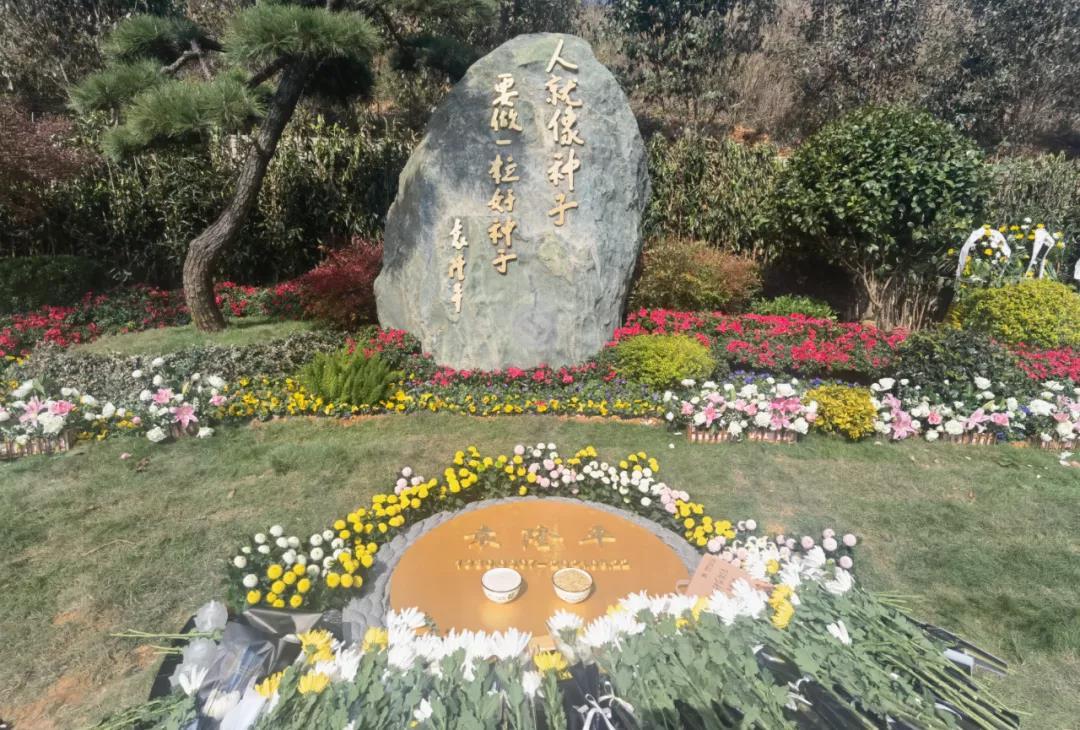 的炊烟都是来自人间的怀念"风吹稻香,粒粒满仓袁隆平院士一路走好致敬