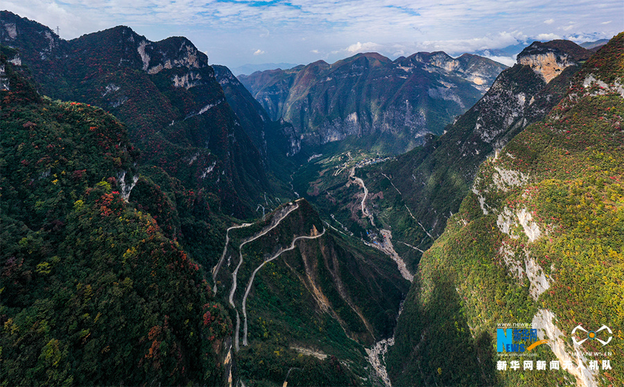 初冬时节,重庆市巫山县竹贤乡下庄村的红叶红了,绵延起伏,层林尽染