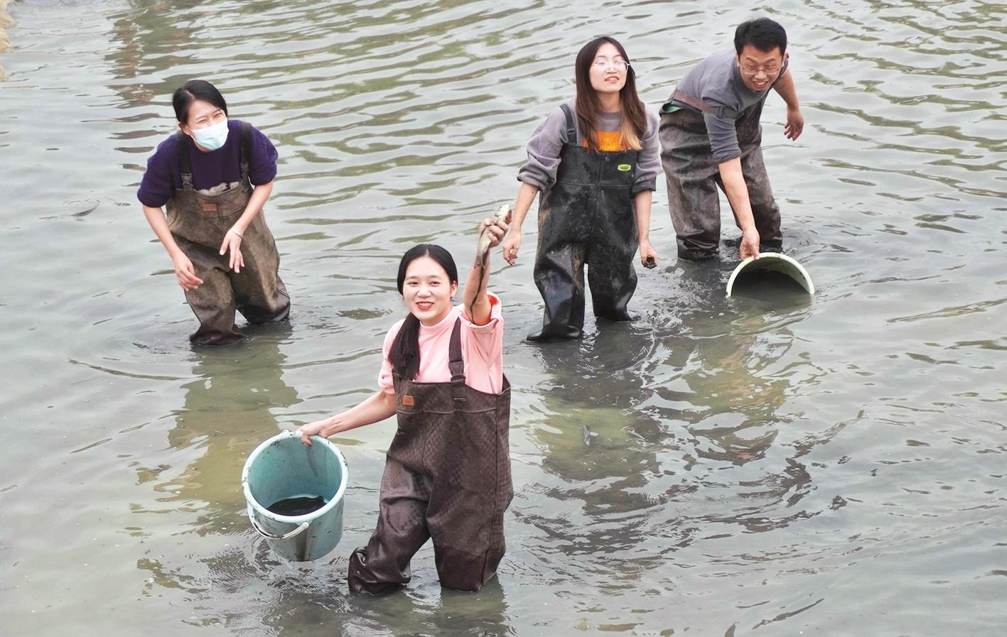 下水摸鱼 品全鱼宴 华农千余师生嗨翻渔文化节-荆楚网-湖北日报网
