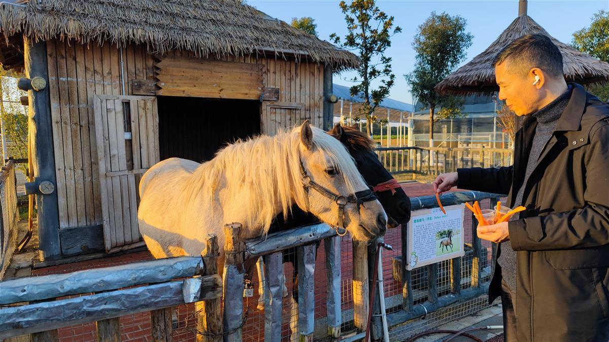 周末到咸宁萝卜公社跟萌宠们来个约会吧