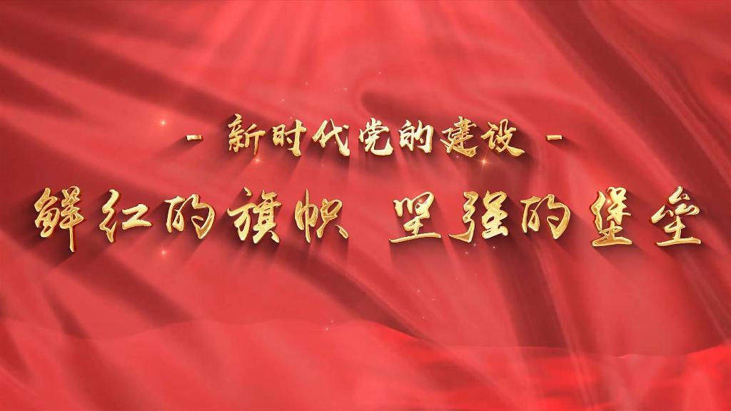 新时代党的建设鲜红的旗帜坚强的堡垒
