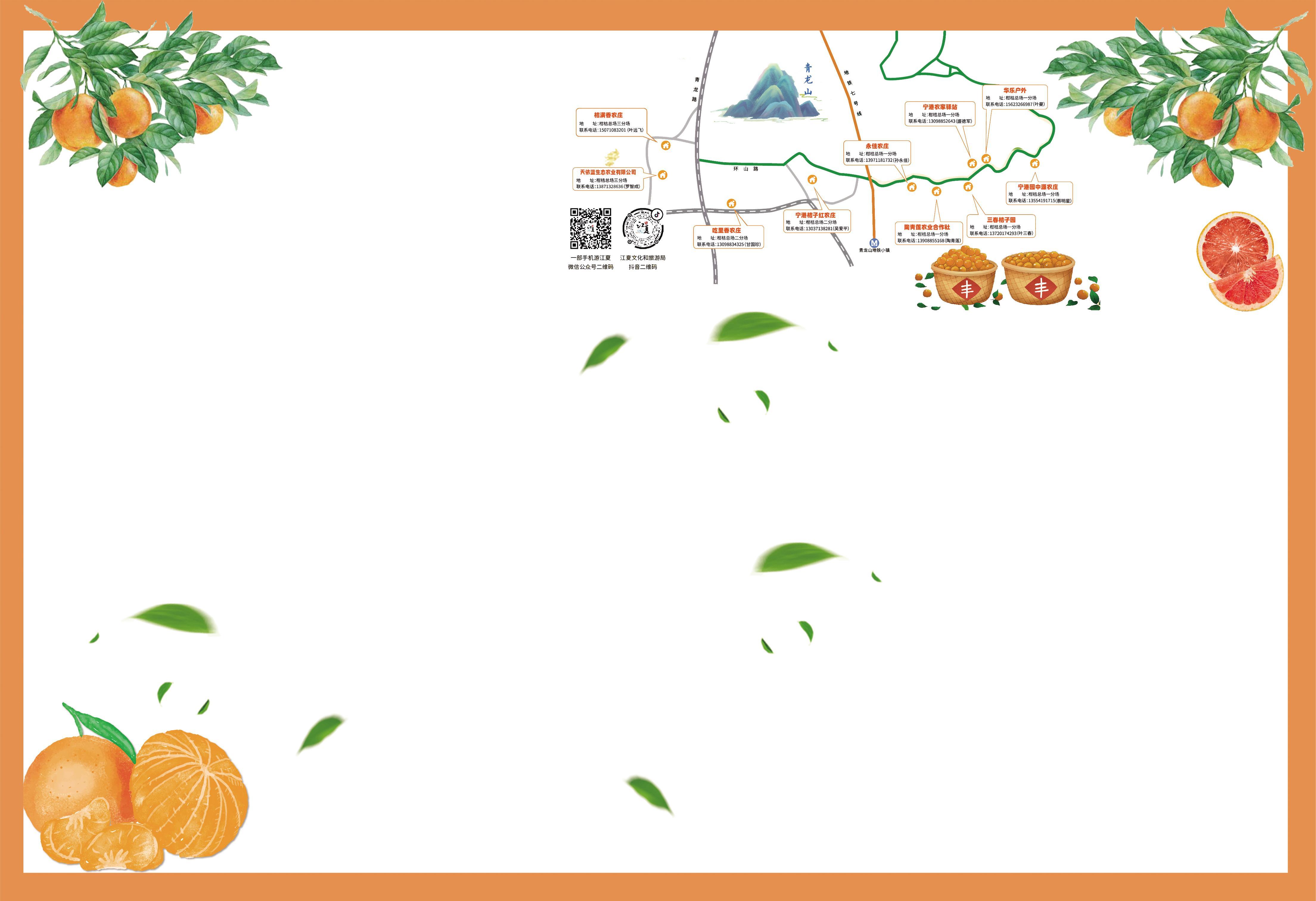 庆丰收硕果  游美丽江夏 武汉江夏第十届柑橘采摘节开幕了