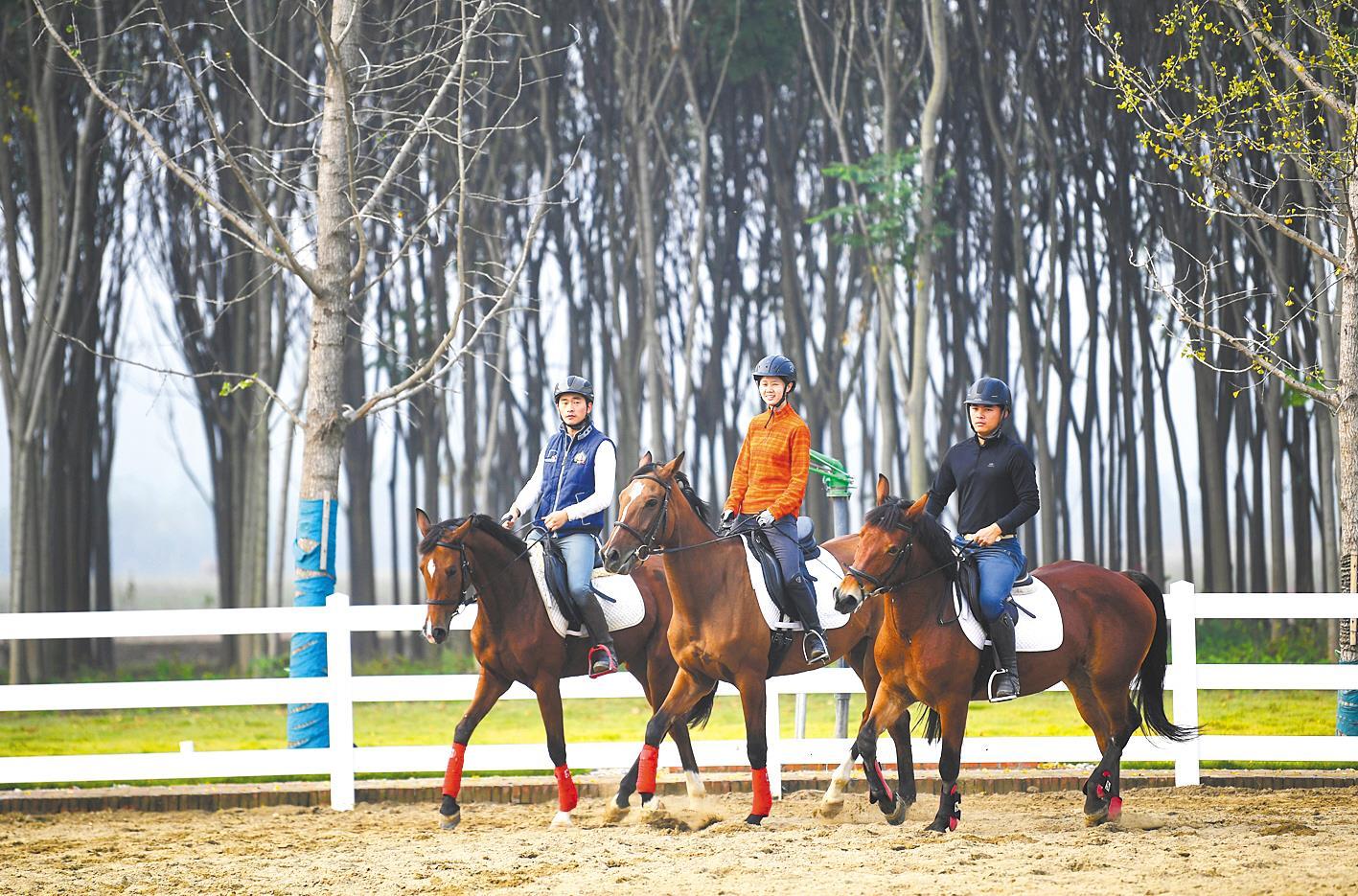 襄陽開展馬術進校園活動