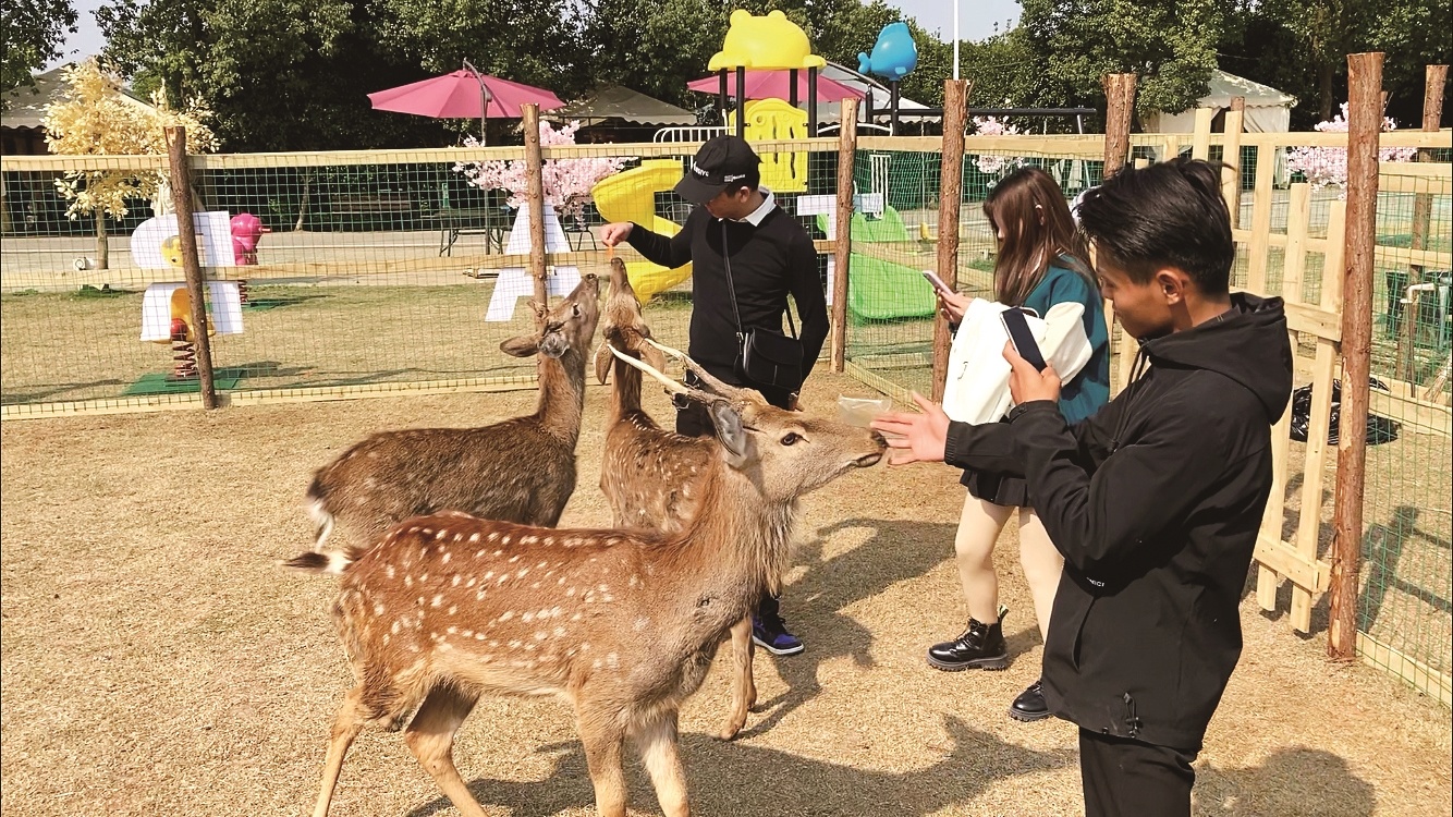 武汉江夏新添亲子一日游目的地 鹿岛公园里零距离接触梅花鹿