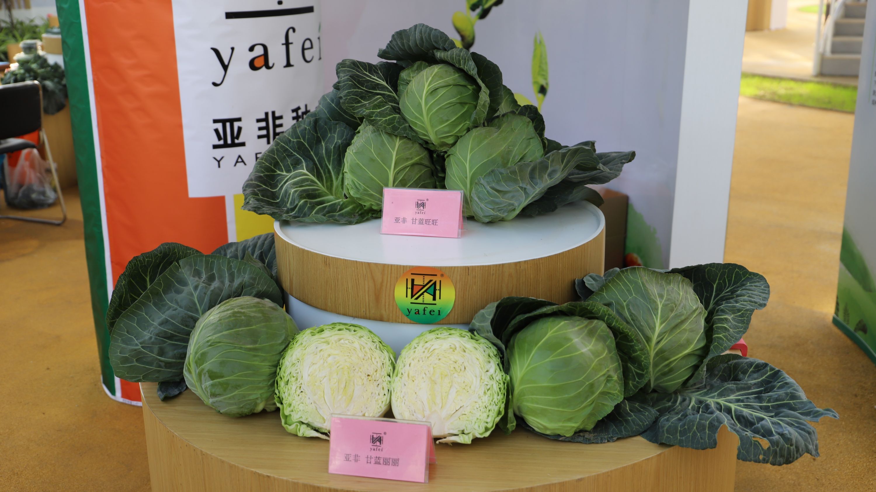 武汉种博会秋季蔬菜展有31个新品获专家推介