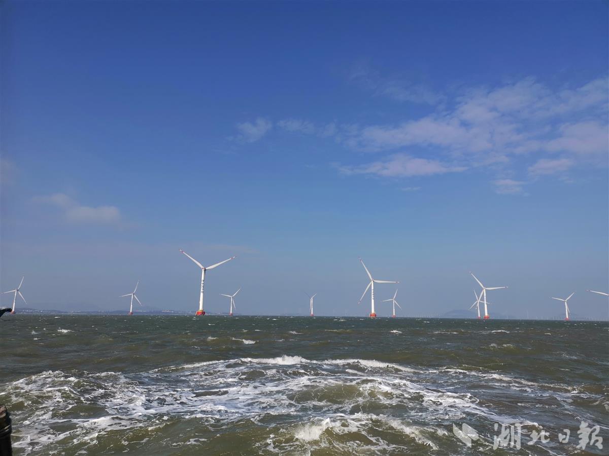 海风如何吹出电记者探访在鄂央企建功海上风力发电场