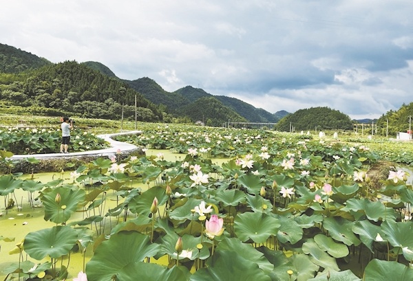 咸安区汀泗桥镇洪口村熊家湾(周鹏 摄)通城县大坪乡内冲瑶族村.