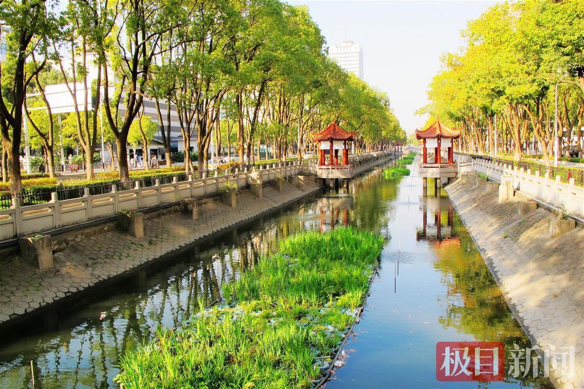 12月2日,武汉市东西湖区五环公园旁长长的水渠内,一块块水源生物净化