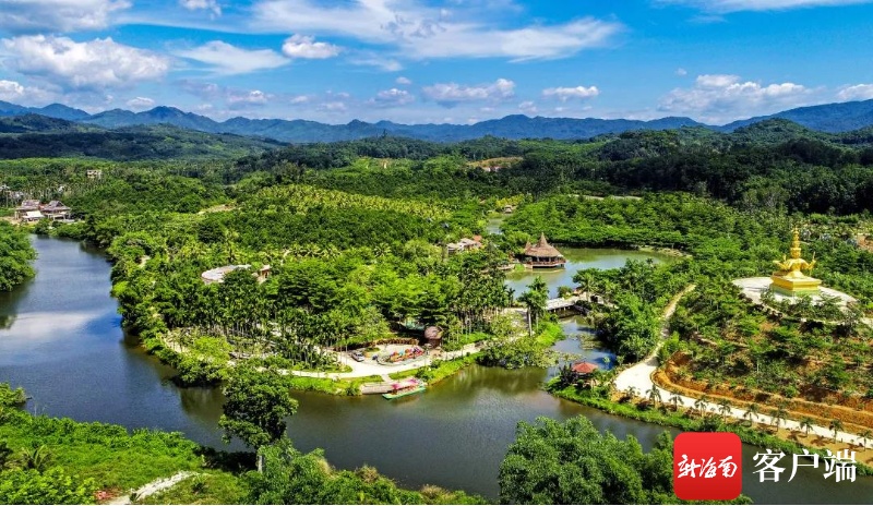 在萬寧興隆植物園,學生開展研學遊,現場製作巧克力.