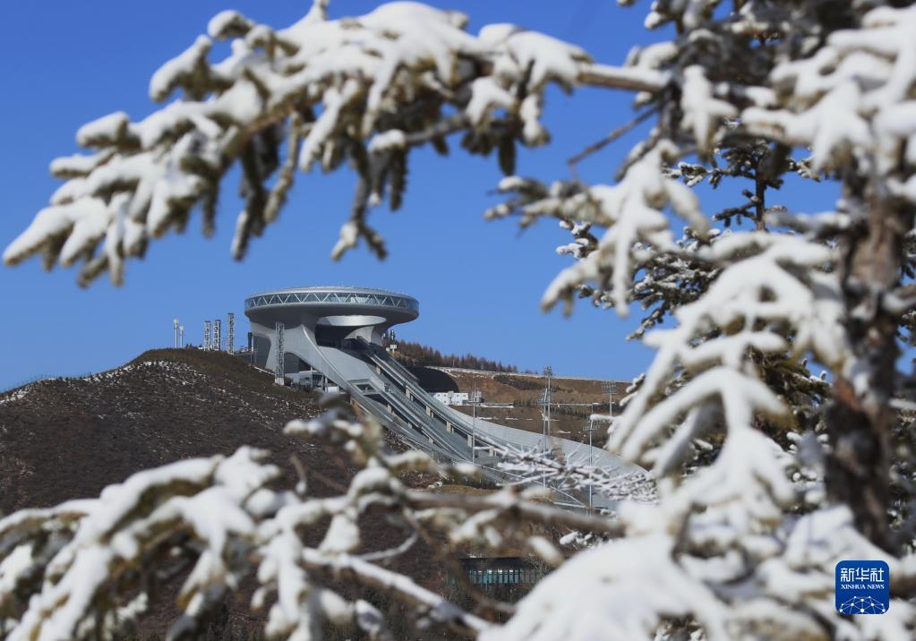 雪如意侧面图片