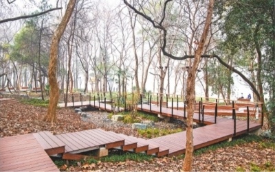 东湖九女墩景区焕新林木错落有致木质平台可休憩