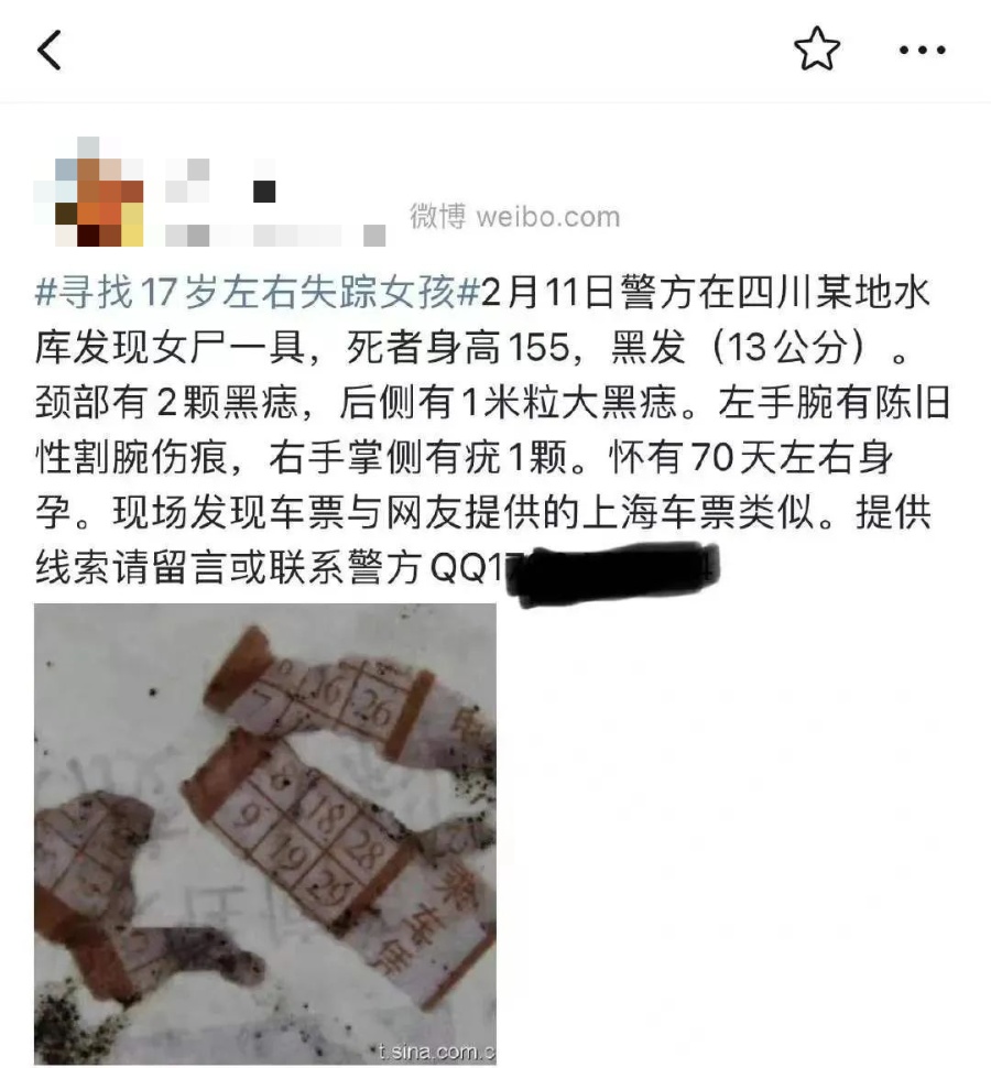 网友接力拼凑线索17岁女孩被杀抛尸案告破