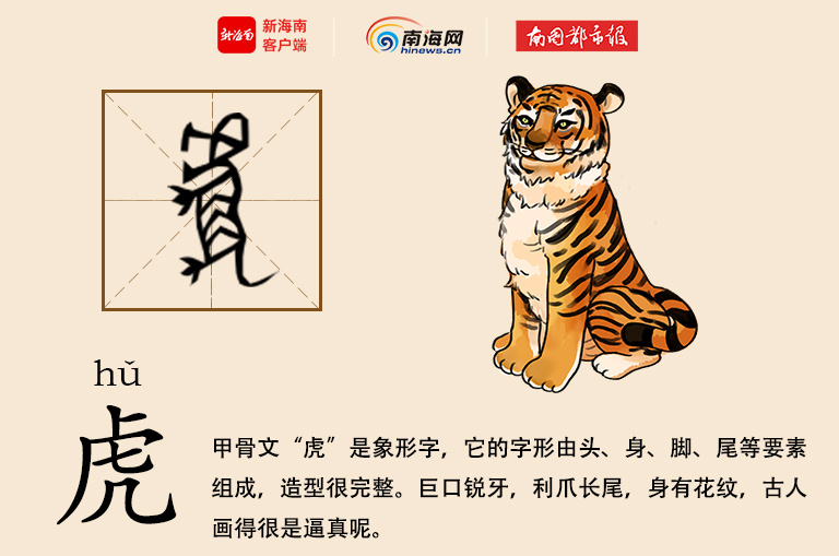 虎的汉字演变过程图片