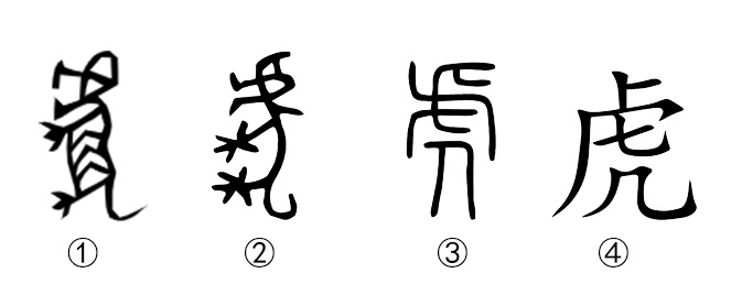 虎的汉字演变过程图片图片