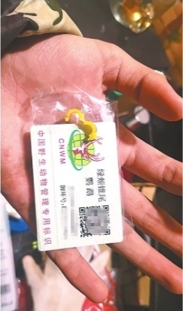 想养只鹦鹉当宠物带身份证的才能买