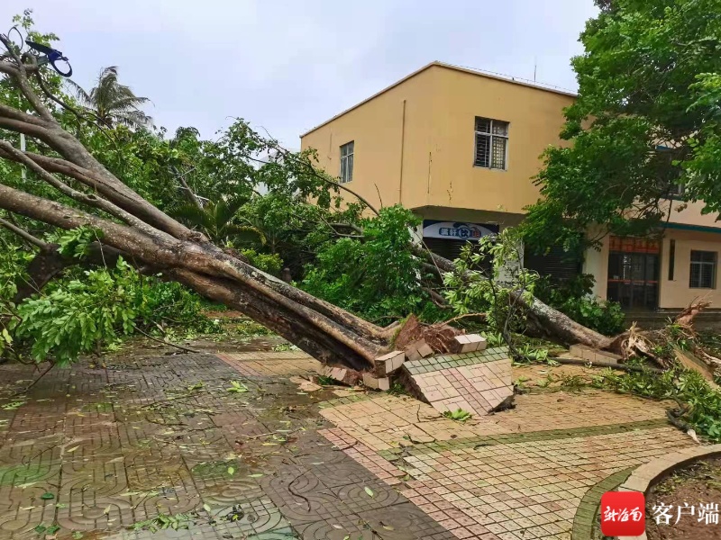 2021年海南省十大天氣氣候事件出爐颱風高溫雷雨上榜