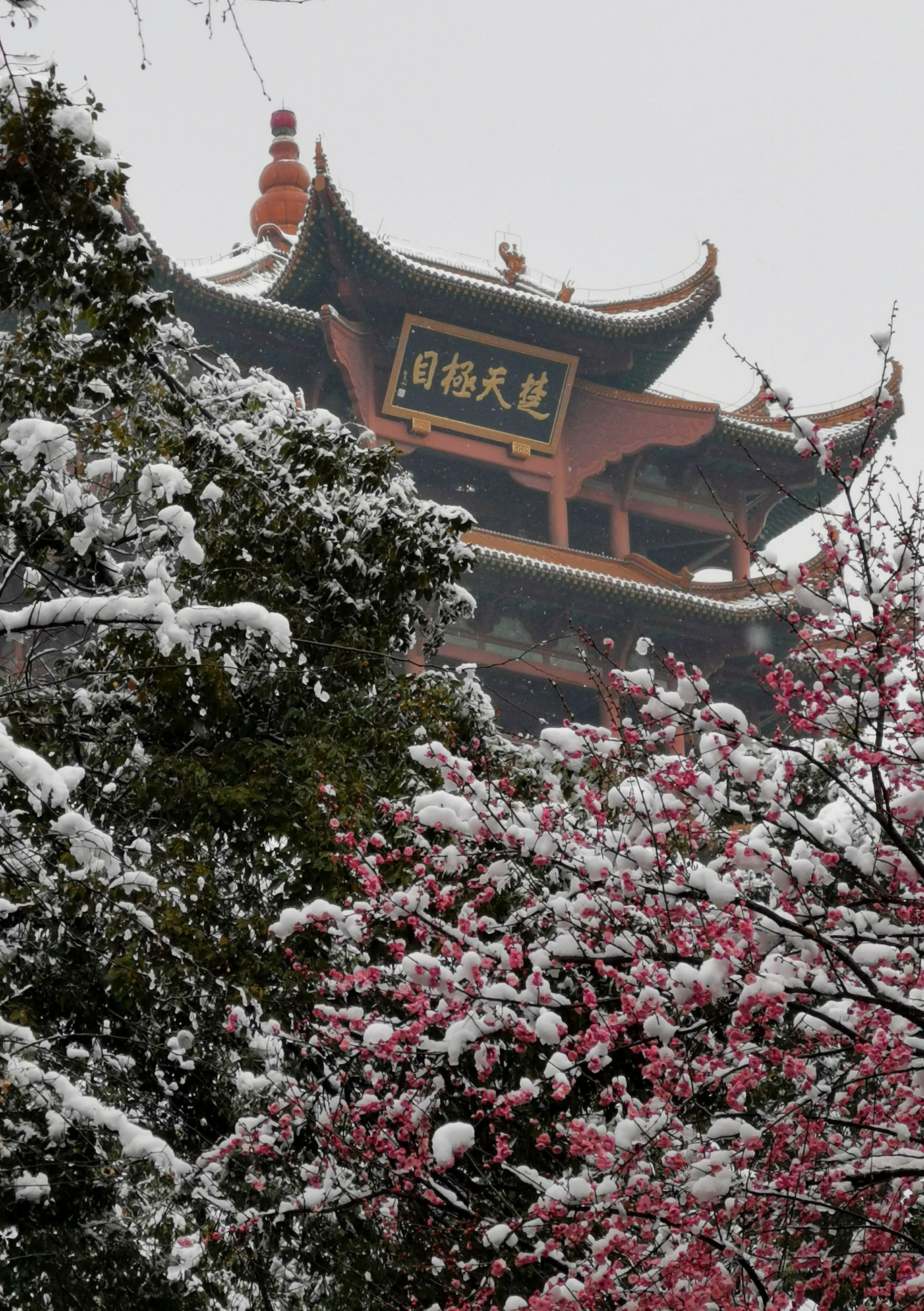 岭头飞雪日图片