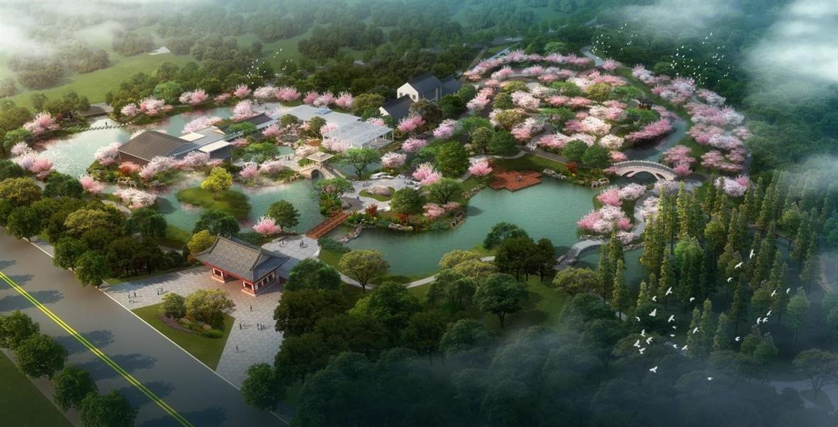 樱花树下这样施工磨山景区升级不打搅每一朵樱花生长