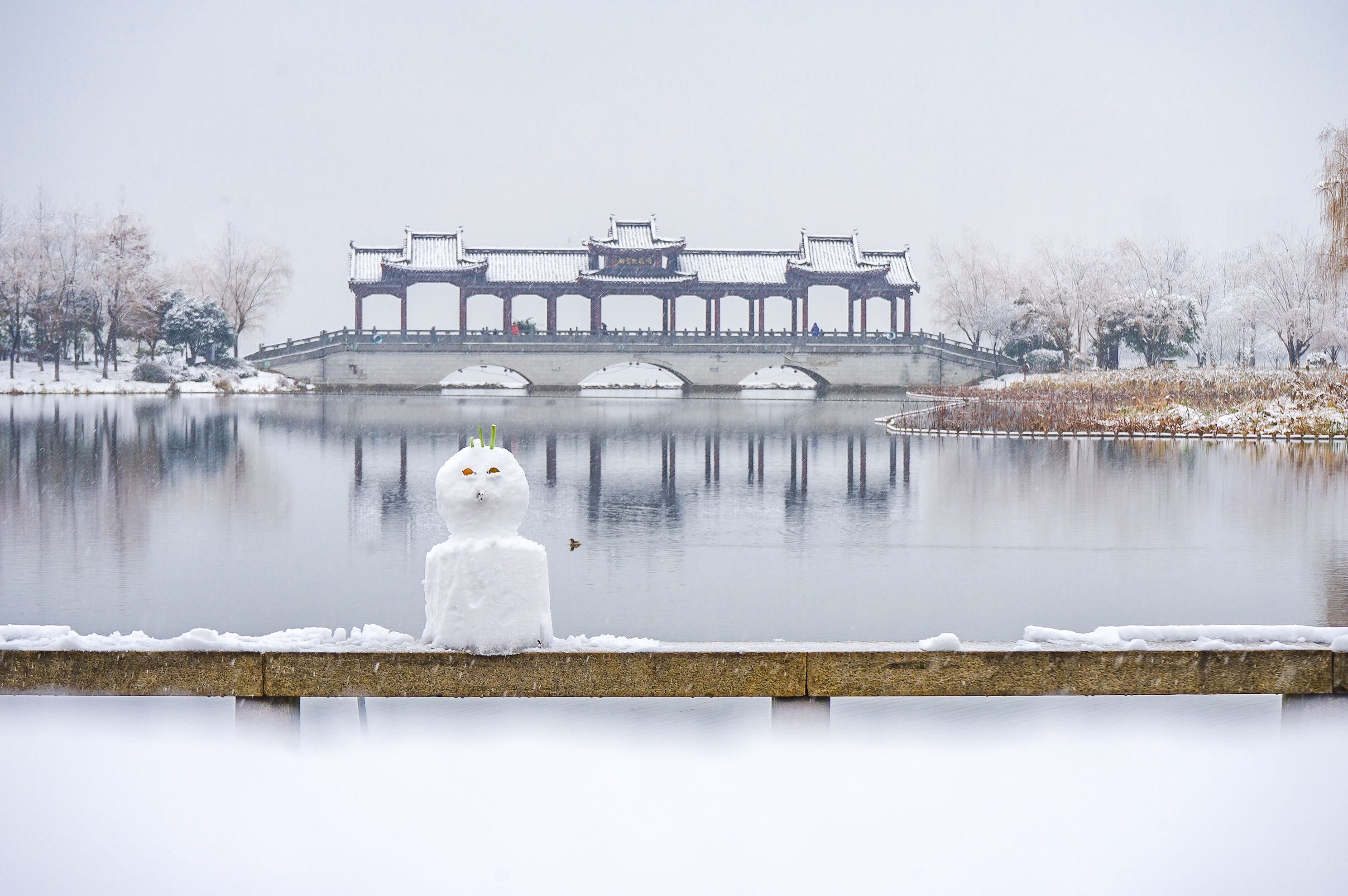 雪中游沙湖公园-荆楚网-湖北日报网