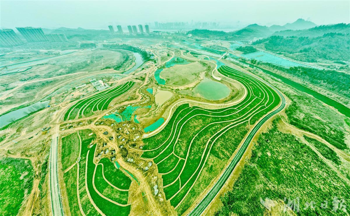 探索三峡湿地保护修复新模式宜昌卷桥河湿地春意盎然