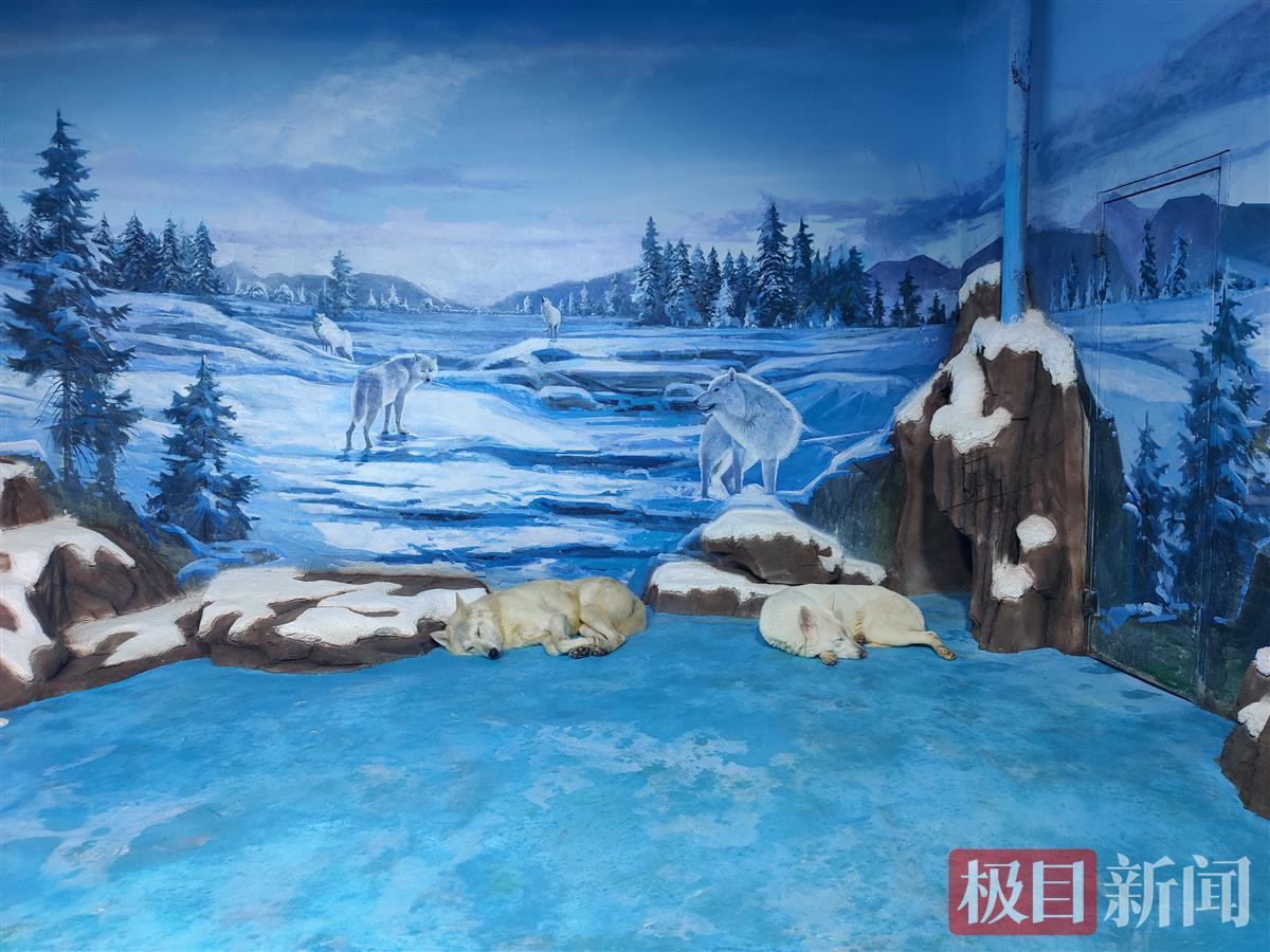 東湖海洋樂園升級全新打卡點冰雪大世界如夢似幻