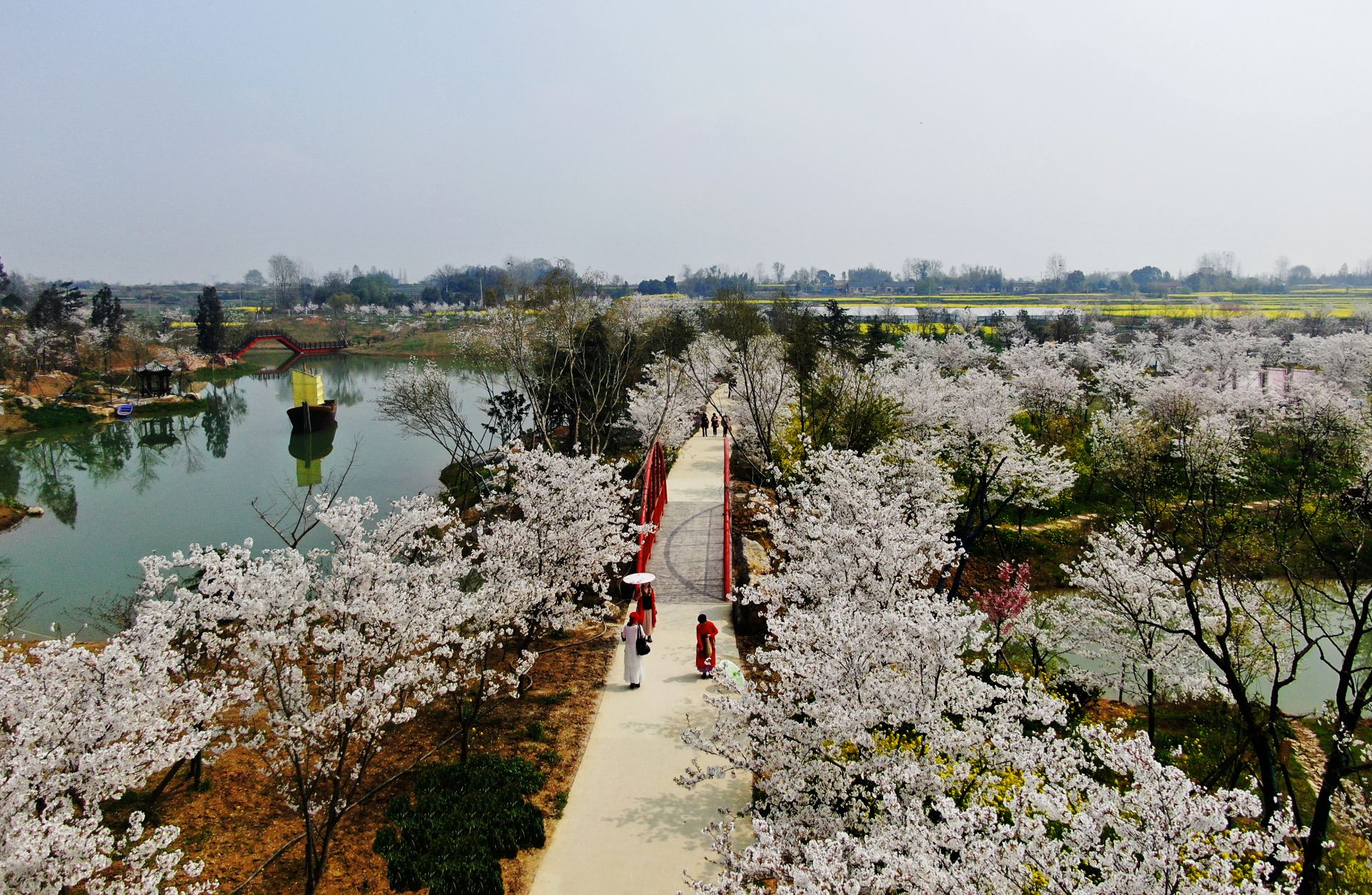 荆门油菜花2021图片