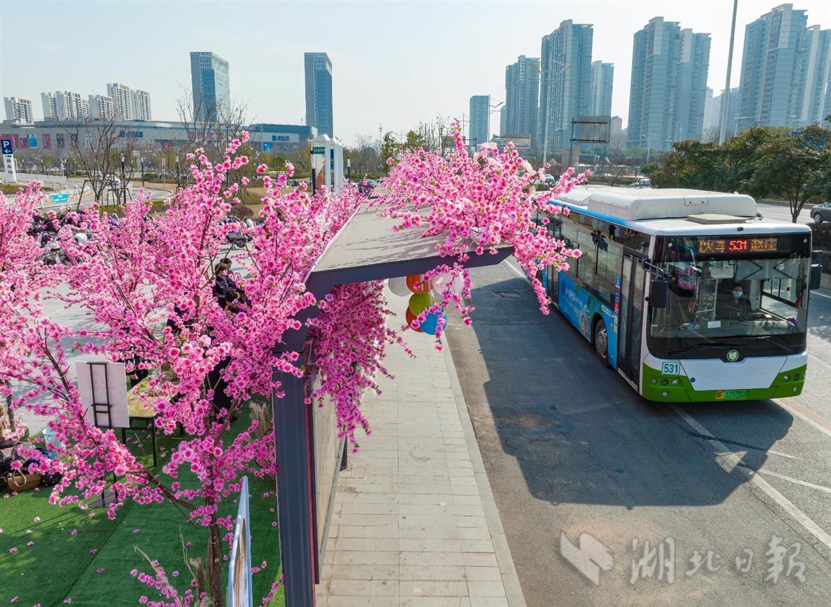 (視界網 楊東 攝)3月5日,在襄陽市繁花公交站臺,襄陽公交517