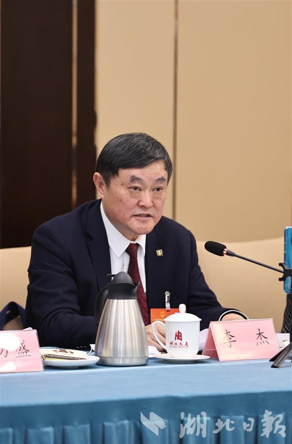 全国人大代表人福医药集团党委书记董事长李杰提升创新能力在全球新的