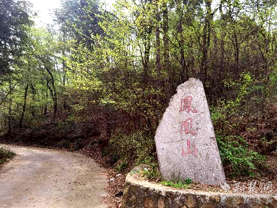 生態振興湖光山色鳳凰山