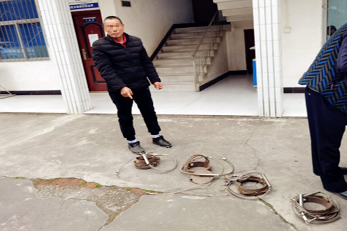 及伏山林场山林等多地,非法使用禁用的弹簧钢丝兽夹及报警器进行非