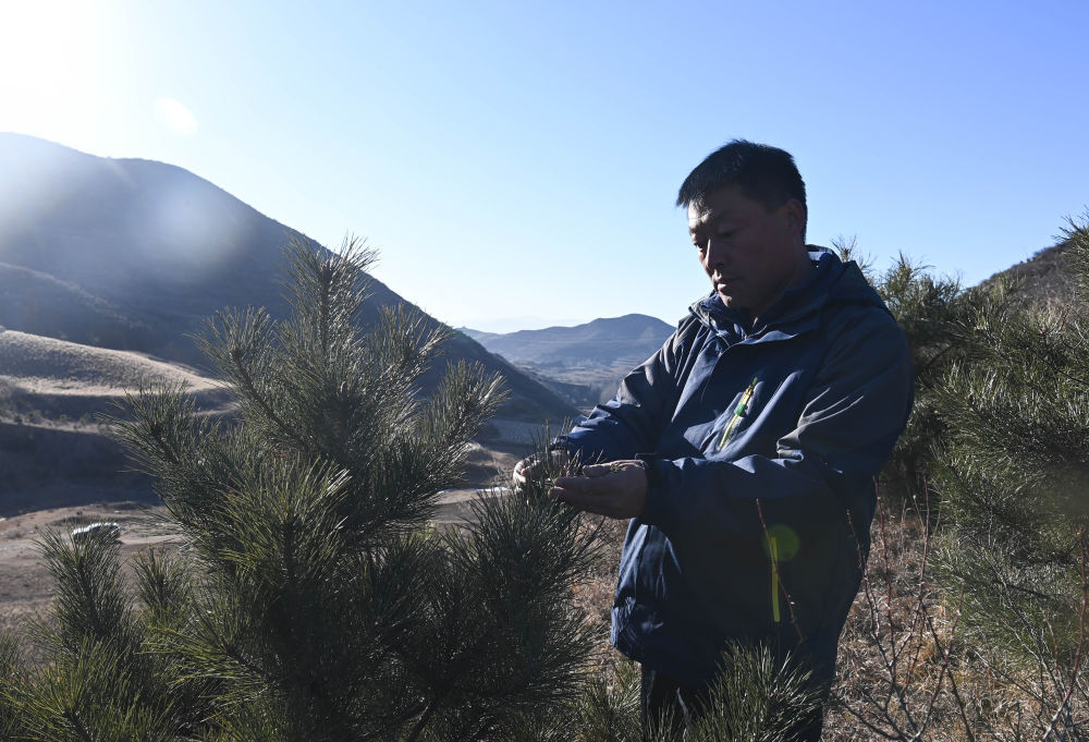 2021年12月3日,在山西省岚县附近的山上,界河口镇东口子村村民郑二小