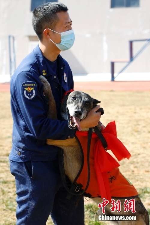 雲南退役搜救犬尋找到新家