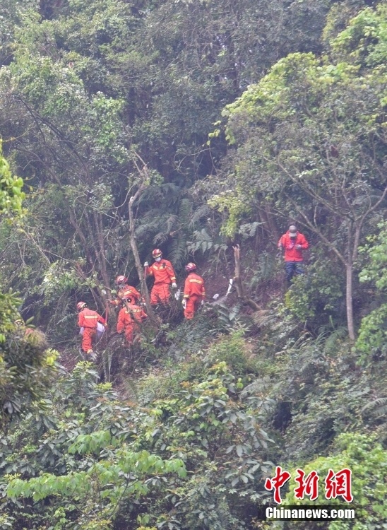 东航坠机事故现场救援人员为泥泞道路铺设竹排