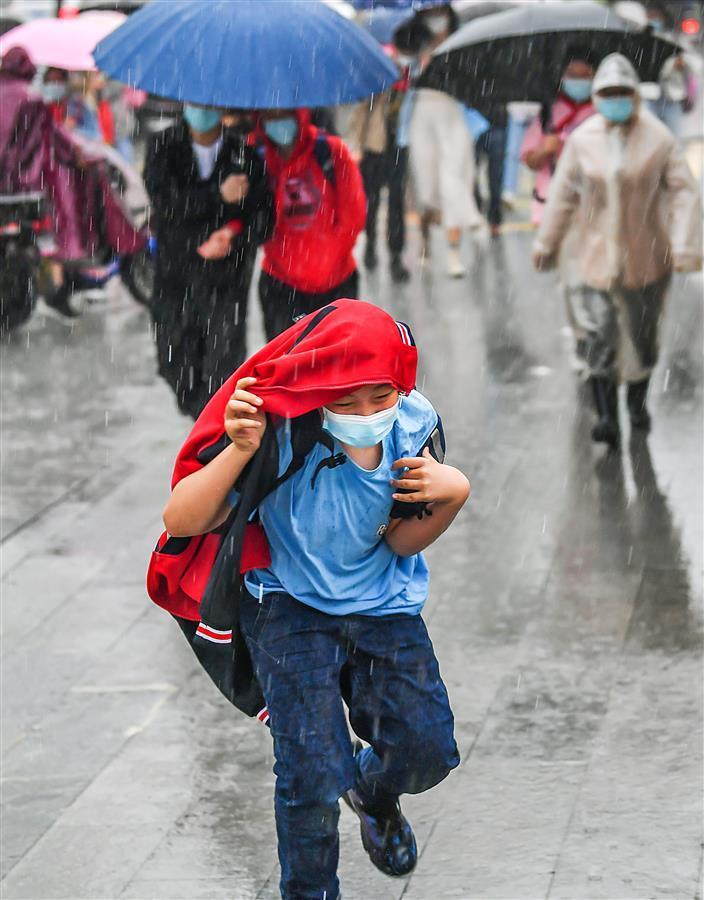 躲雨的人照片图片