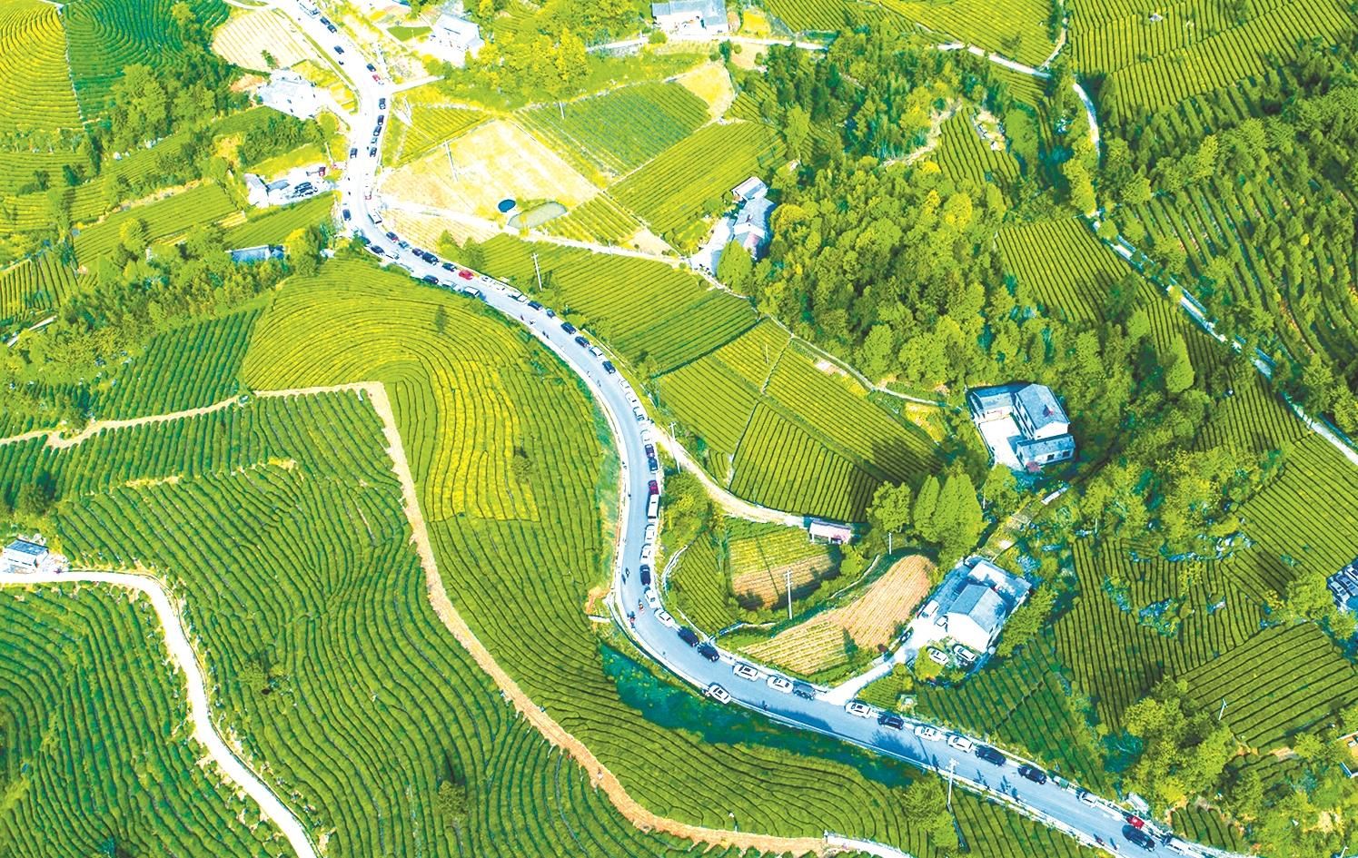 (陈雪松 摄)位于宜都枝城港区的兴发宁通物流港口,2021年正式迈入