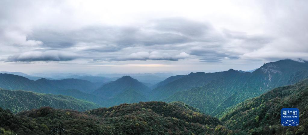 探秘世界自然遺產梵淨山生物多樣性