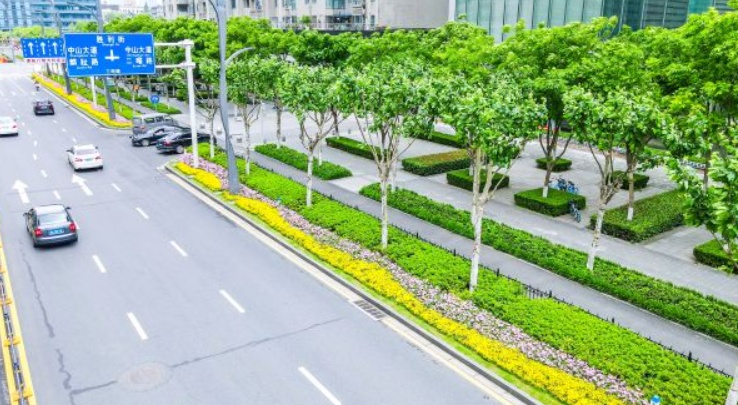 11公里路段上新鲜花5万盆三阳路垂江绿廊变身垂江花廊