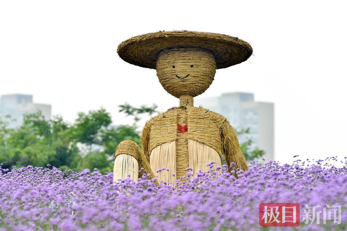 14公顷紫色花朵蔓延光谷再添一处花海打卡地