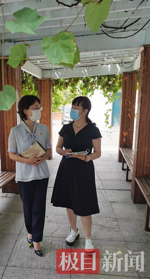 湖北省人大代表罗建兰一支粉笔写春秋躬身笃行当代表