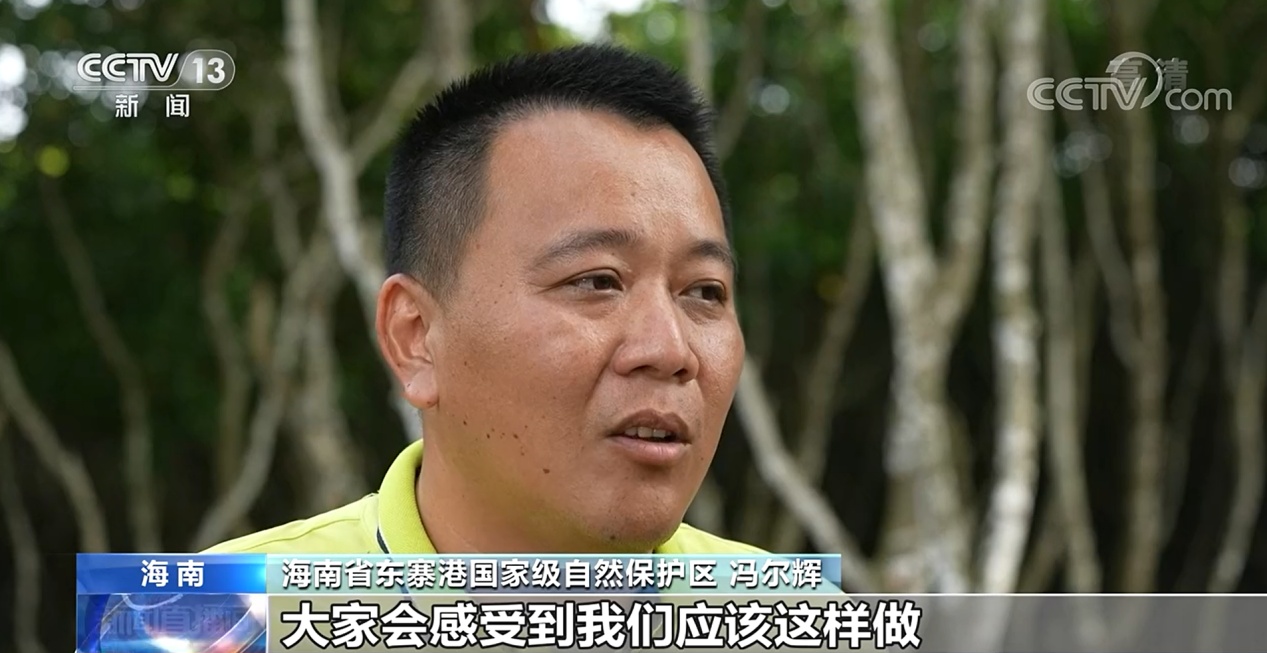 冯尔辉从小生活在红树林附近的村子,不少来保护区挖螺抓螃蟹的村民,都