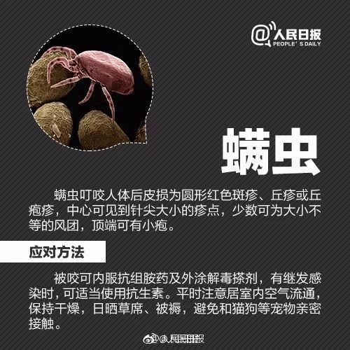 警惕有人被咬后进急诊这种小虫公园常见