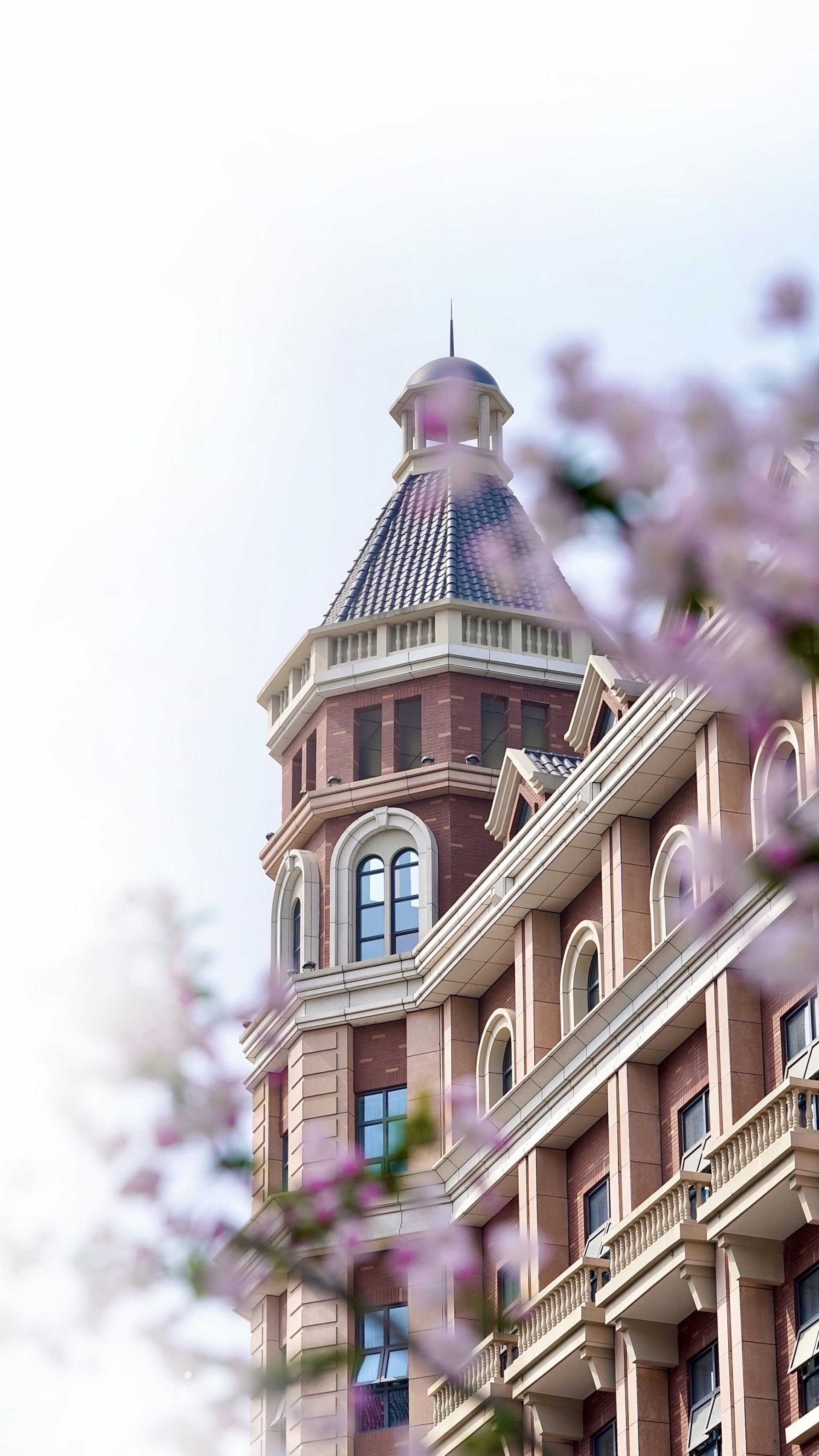 在金银湖遇见最美的协和医院