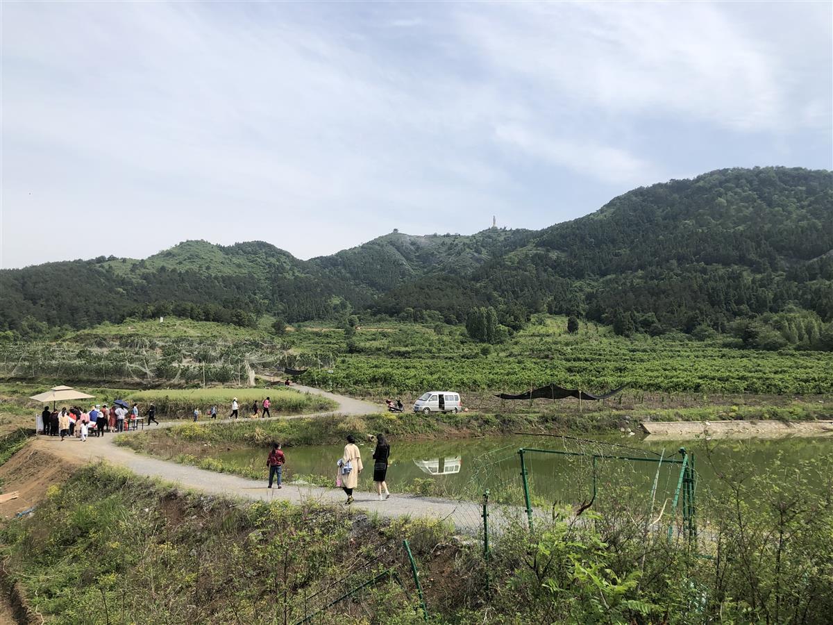 花果山生态采摘园通过线上线下的推介,双峰山途居汽车露营地房车爆满