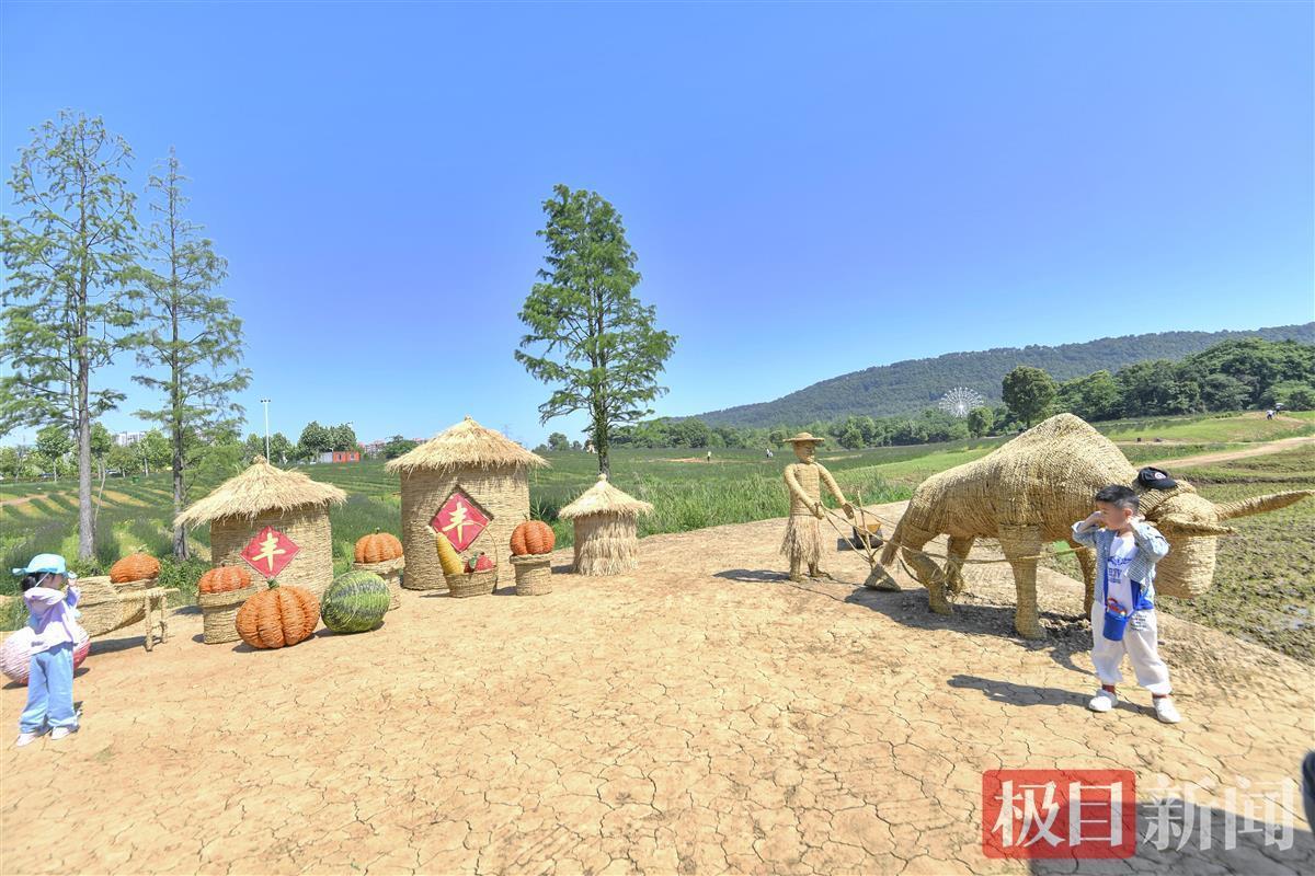 耕牛稻草人谷仓光谷网红花海大变样