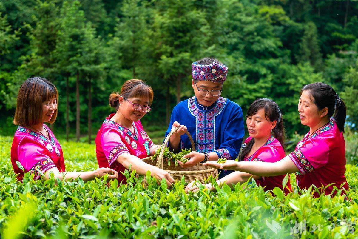 一年,300多名外出务工村民选择返乡——宜昌长阳青岗坪村见闻