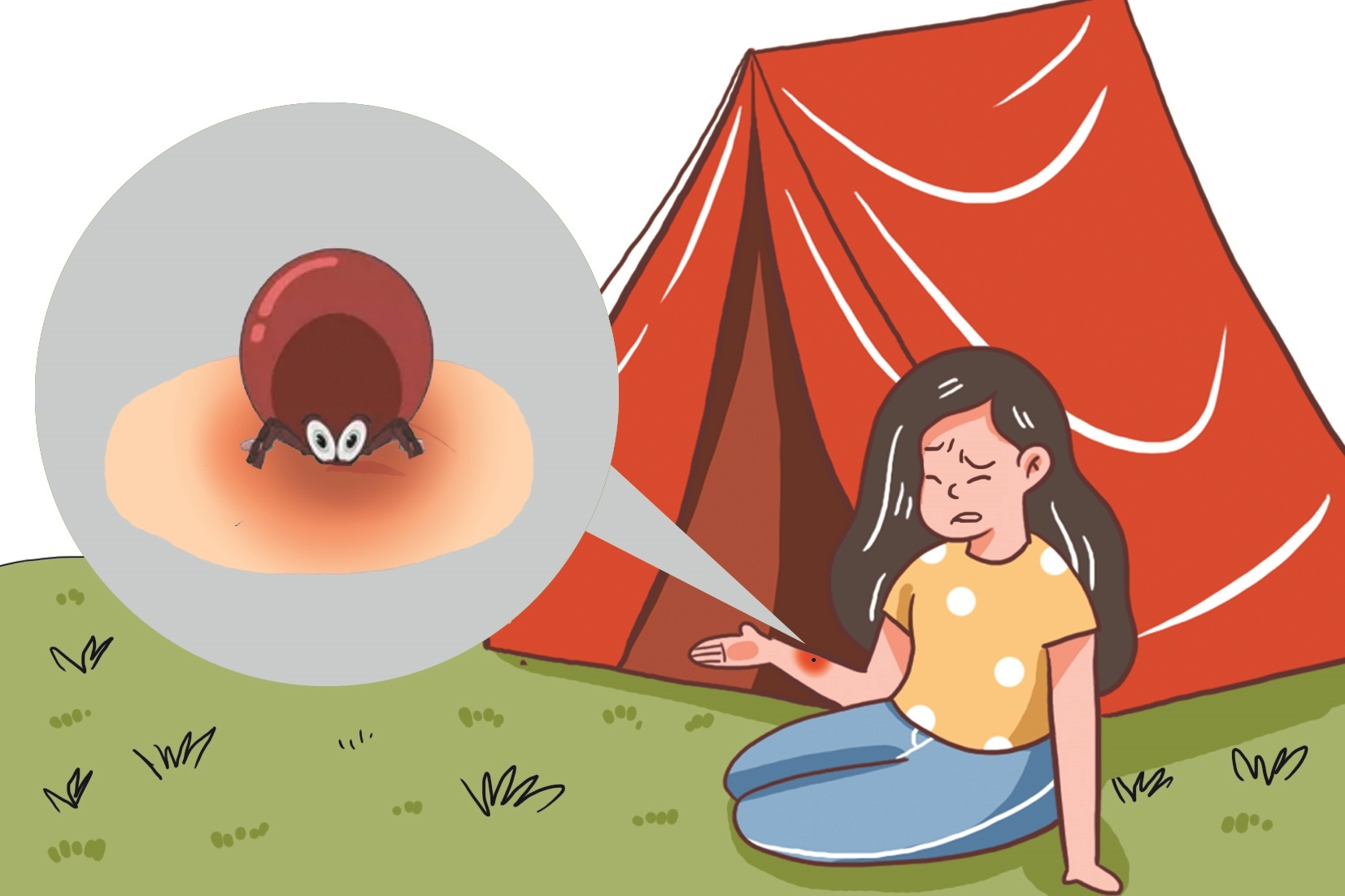 老人感染蜱虫病去世引关注专家提醒警惕这种可能致命的毒虫