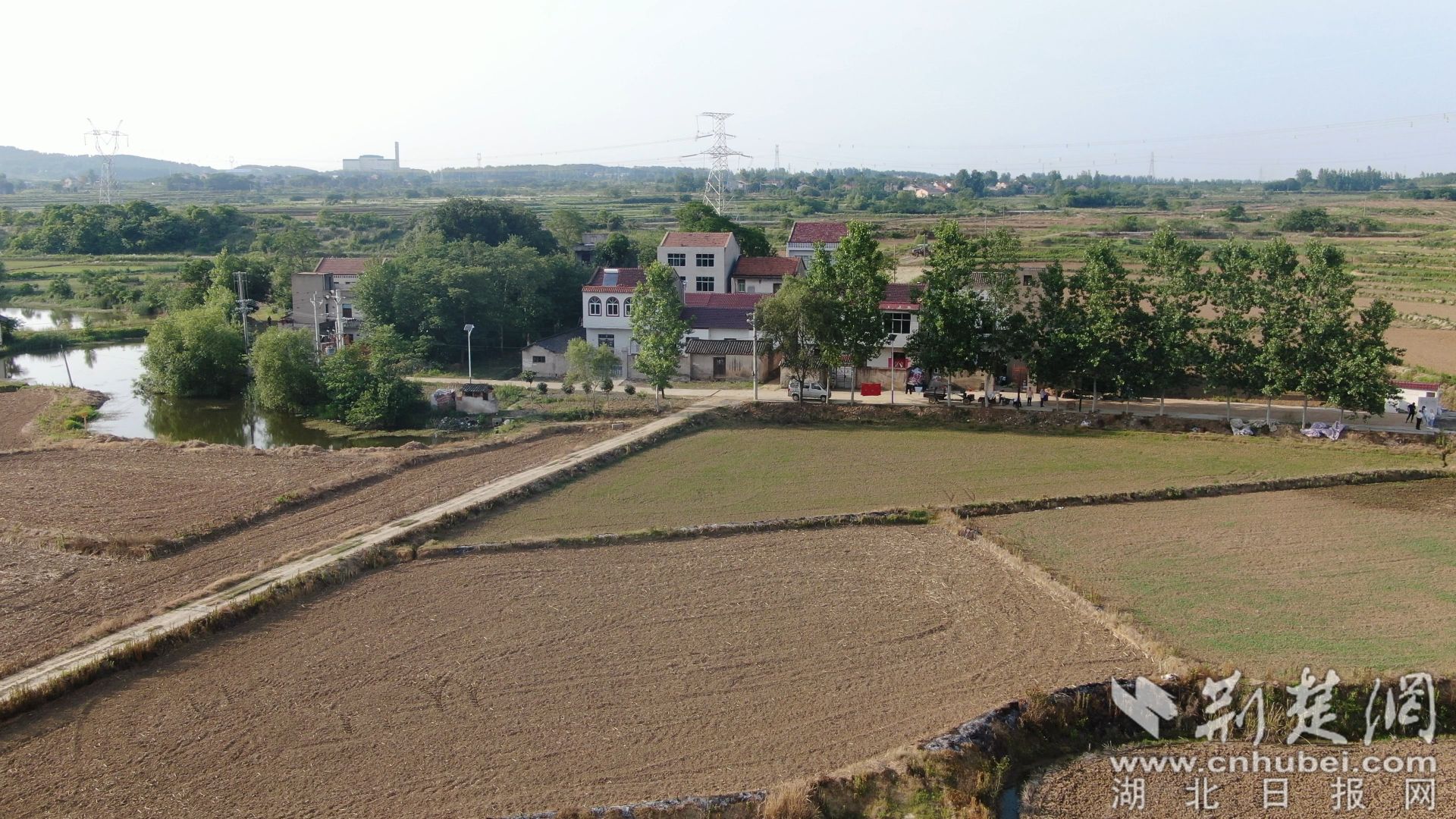 孝昌花西乡3000亩撂荒地变身致富希望田