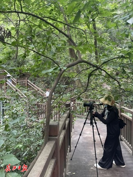 东湖藏着哪些"精灵"?生物多样性调查员一直在找它们