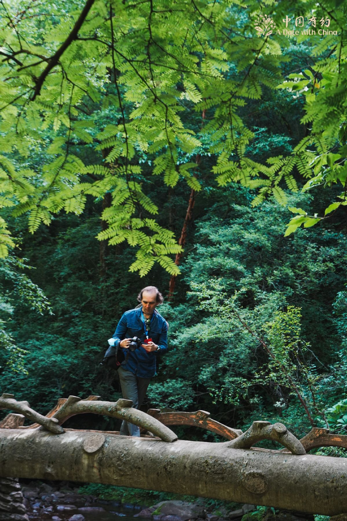 liupan mountain national forest park in northwest chinas